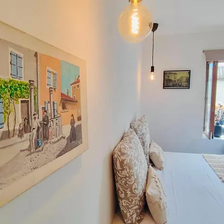 Le Repere Du Gentleman Conciergeriedamecarcas Apartment Carcassonne